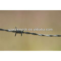 Galvanized barbed wire for sale manufacturer for South Africa